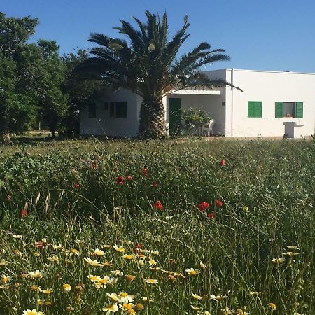Es Magraner Villa Cala Saona Luaran gambar