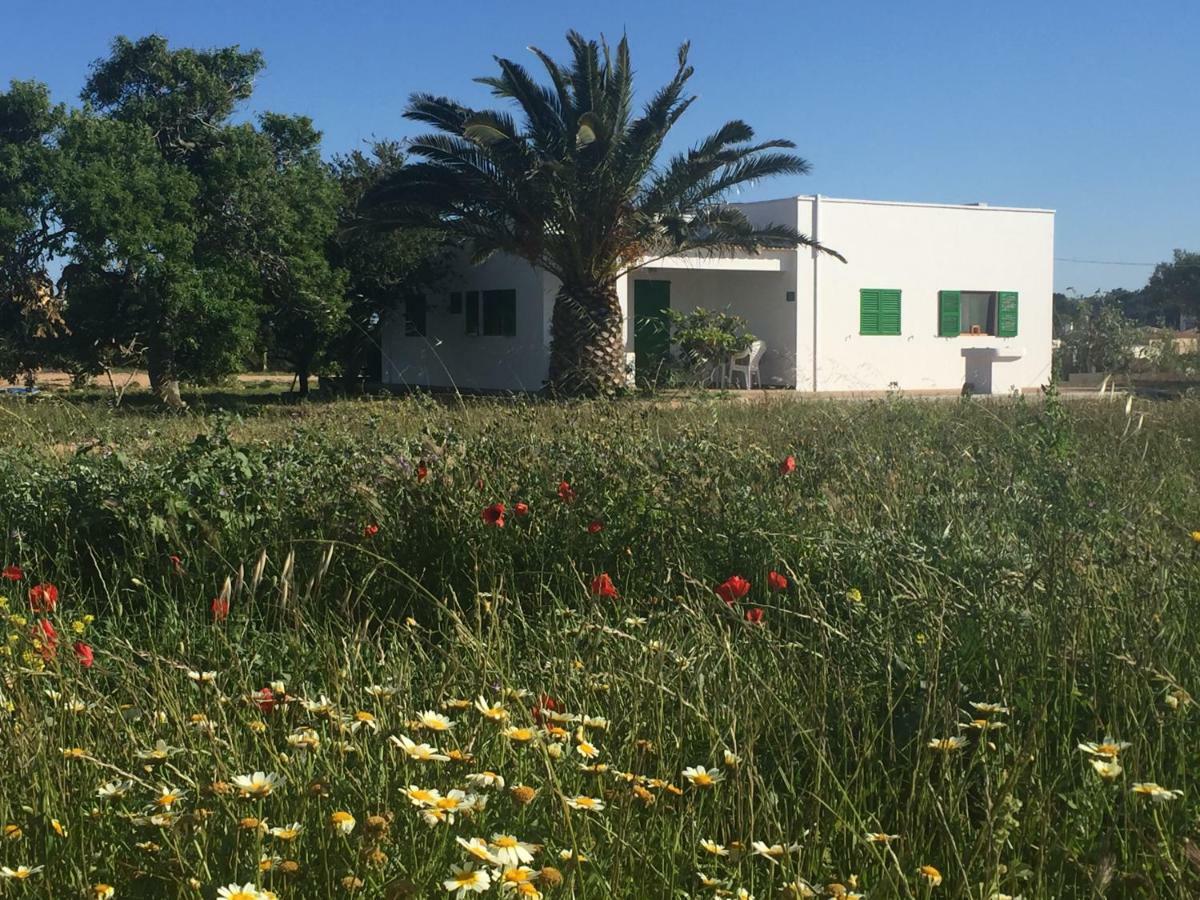 Es Magraner Villa Cala Saona Luaran gambar